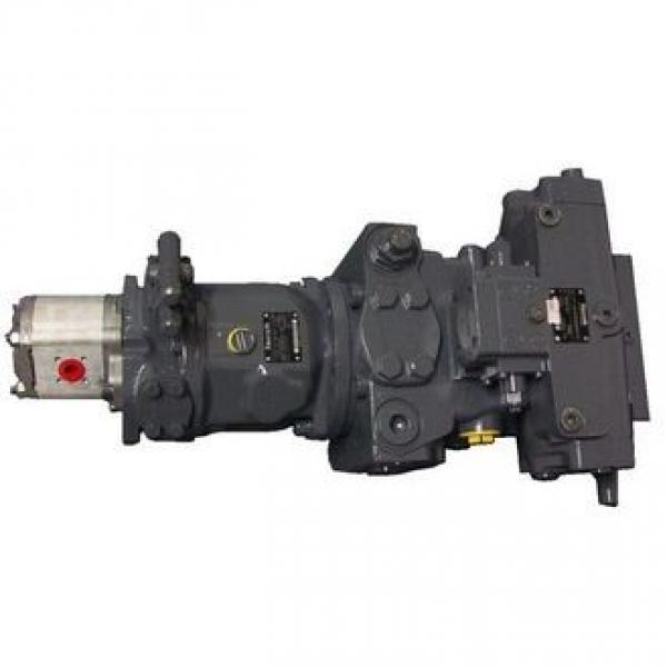 Combination A4V+A10V Hydraulic Axial Pistom Pump #1 image