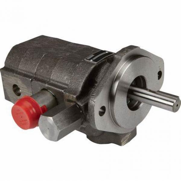 Double Denison Hydraulic Vane Pumps and Cartridge Kits T67, T6c, T6d, T6e, T7b, T7d, T7e, T6cc, T6DC, T6ec #1 image