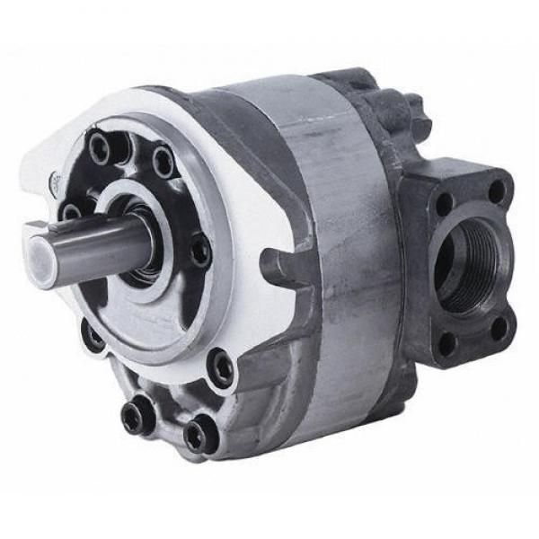 Replacement Hydraulic Motor Parts for V12-60, V12-80, V14-110, V14-160 #1 image