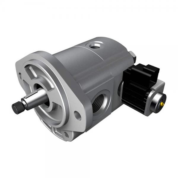 Replacement Denison Hydraulic Vane Pump T7e Series #1 image