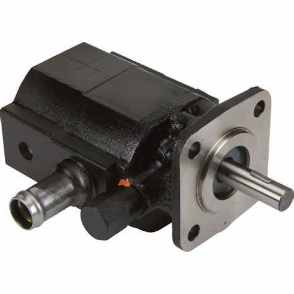 Replacement Denison T7bseries Hydraulic Vane Pump Cartridge Kits #1 image