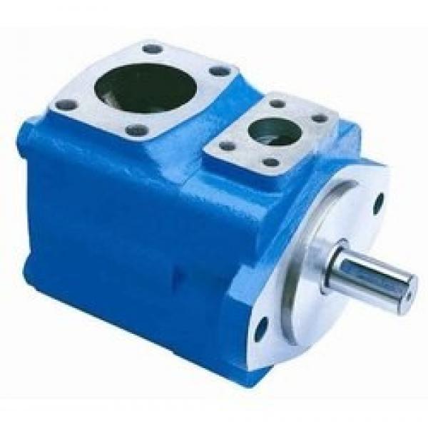 Lisheng hydraulic pump bobcat and motor price cylinder Exporter #1 image