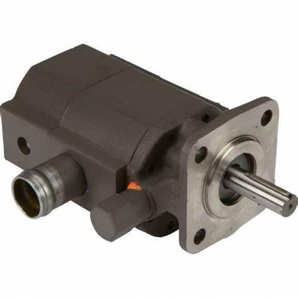 PV2r Series Hydraulic Vane Pump #1 image