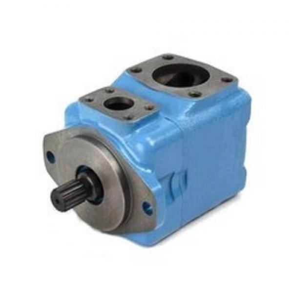 Yuken Hydraulic Vane Pump PV2r-2-65PV2r-3-74PV2r-3-116 #1 image